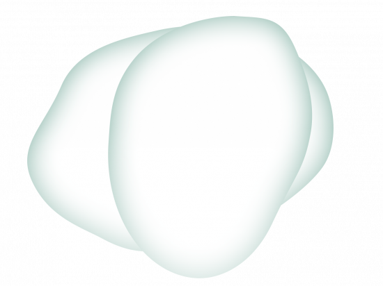 Aktien Fellas Workshop