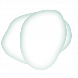 Krypto Fellas Workshop